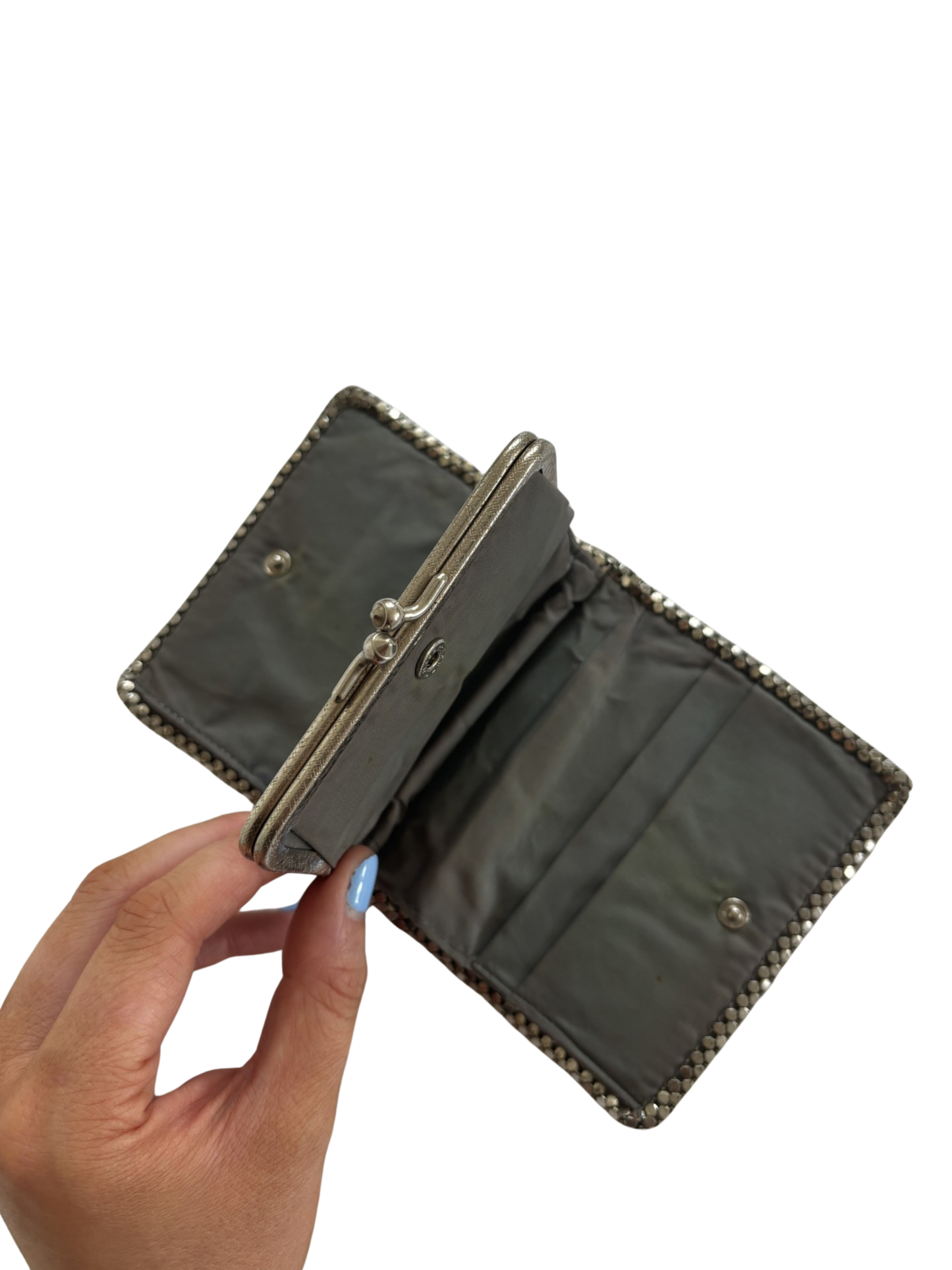 Silver Glomesh Coin Purse